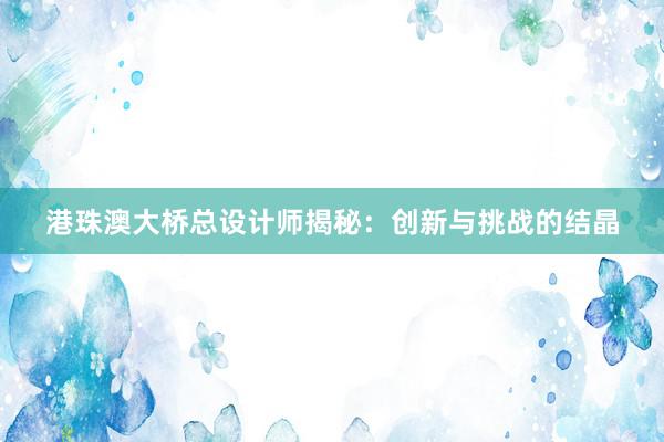 港珠澳大桥总设计师揭秘：创新与挑战的结晶